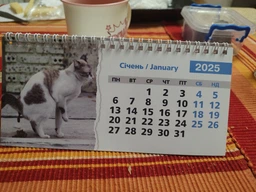 Календар настільний будиночок на 2026 рік - "Срущі коти" фото от покупателей 5