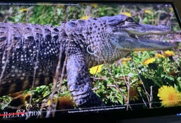 Монитор 27" MSI MAG 274QRF-QD E2 -- Quantum Dot / Rapid IPS QHD (2K) / 180Hz / 1ms GtG / 8-Bit + FRC / DisplayHDR 400 / Type-C 65W PD / G-Sync Compatible / Adaptive Sync / HAS / Pivot / KVM / Console Mode 2K 120Hz фото от покупателей 5