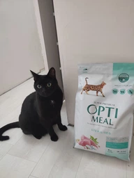 Сухой корм Optimeal sterilised (Оптимил) 1.3 кг для стерилизованых кошек (ИНДЕЙКА) фото от покупателей 4