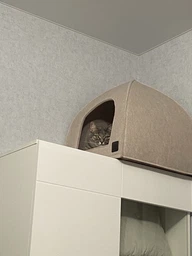 Палатка Lucky Pet Регги №3 45х45х48 см Бежевая (4820268553850) фото от покупателей 4