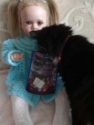 Промо-набір ласощів Trixie PREMIO Rolls для котів, курка/сайда, 50 г, 1 упаковка + Trixie PREMIO Hearts для котів, качка/минтай, 50 г, 1 упаковка + Trixie PREMIO Tuna Bites для котів, тунець, 50 г, 1 упаковка (2700000031087)