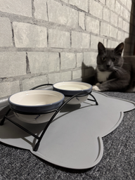 Подставка с мисками из керамики для кошек Trixie Eat on Feet 250 мл (4047974247907) фото от покупателей 1