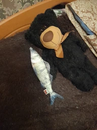 М'яка іграшка антистрес WONKEY Судак 30см 33082 фото від покупців 1