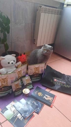 Сухой корм для котов Purina Pro Plan Sterilised Renal Plus с индейкой 1.5 кг (НФ-00000360) фото от покупателей 13