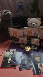 Сухой корм для котов Purina Pro Plan Sterilised Renal Plus с индейкой 1.5 кг (НФ-00000360) фото от покупателей 11