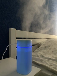 Зволожувач повітря Zhencai Humidifier SD08 з подвійною насадкою зелений фото від покупців 3
