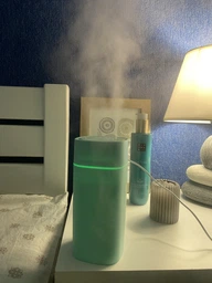 Зволожувач повітря Zhencai Humidifier SD08 з подвійною насадкою зелений фото від покупців 1