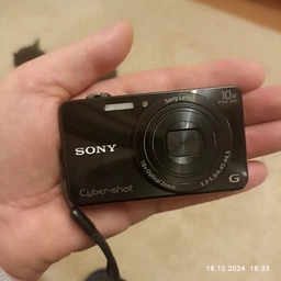Фотоаппарат Sony Cyber-shot DSC-WX220 Black купить на ROZETKA