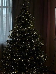 Светодиодная новогодняя гирлянда нить "Роса" на катушке 100м, 220V, 1000 LED, 8 режимов, зеленый провод (теплый белый) фото от покупателей 1