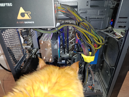 Процессор Intel Core i5-14400F 2.5GHz/20MB (BX8071514400F) s1700 BOX фото от покупателей 2