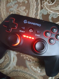 Бездротовий геймпад GamePro GP600 PC/PS3 Black (GP600) фото від покупців 6