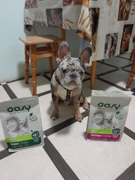 Сухой корм для собак OASY OAP ADULT Small/Mini кролик 800 г 348391 фото от покупателей 1