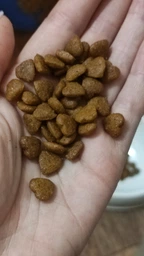 Сухий корм BonaCibo Cat Adult Light & Sterilized для стерилізованих кішок, 5 кг фото від покупців 3