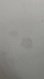 Шпаклевка-паста финишная белая универсальная водостойкая латексная (тюбик 100 г) фото от покупателей 1