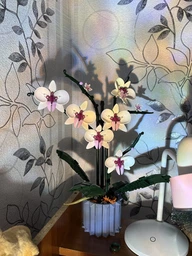 Конструктор цветы Орхидея в горшке Botanic Orchid на 608 деталей фото от покупателей 5