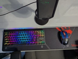 Клавиатура проводная Hator Rockfall 2 Mecha TKL Orange USB Black (HTK-520)