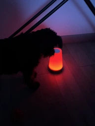 Аккумуляторний нічник з USB зарядкою LED RGB лампа в спальню Villa Volance з пультом, зміна 13 кольорів, регулювання яскравості біла + жовта