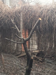 Акумуляторна пила ланцюгова електрична Chain SAW 6 дюймів, міні пила для обрізання дерев та розпилу дров 2 АКБ синій фото від покупців 8