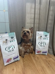 Сухой корм OptiMeal Adult Small Breed Duck для взрослых собак мелких пород с уткой 4кг фото от покупателей 5