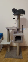 Домик когтеточка для кота дряпка для кошки Мур-Мяу Алиса-2 70 x 70 x 138 см в джутовой веревке Коричнево-Бежевый МТ фото от покупателей 19