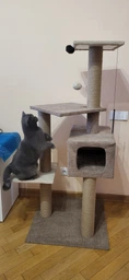 Домик когтеточка для кота дряпка для кошки Мур-Мяу Алиса-2 70 x 70 x 138 см в джутовой веревке Коричнево-Бежевый МТ фото от покупателей 17