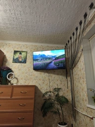Настенное крепление для телевизора Eagle TV5524 (E5197)