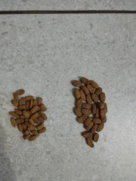 Сухой корм для котов Purina Pro Plan Sterilised Renal Plus с индейкой 1.5 кг (НФ-00000360) фото от покупателей 5