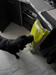 Сухий корм для дорослих собак великих порід Purina Dog Chow Adult Large Breed зі смаком індички 14 кг фото від покупців 4