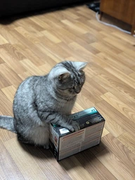 Влажный корм для кошек Purina Pro Plan Sterilised кусочки в соусе с говядиной 5 х 85 г, с курицей 5 х 85 г (Мультипак)