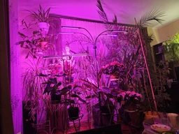 Світлодіодна фітолампа для росту рослин та розсади Gardlov Повний спектр 4 голови