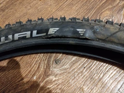 Велопокрышка Schwalbe Rapid ROB K-Guard B/B-SK HS425 SBC 29x2.10 (54-622) (TIR-50-20) фото от покупателей 2
