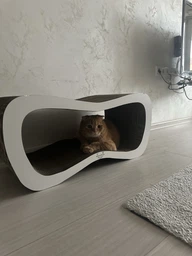 Когтеточка (царапка) - лежанка для кошек AdeleCat vip 77 х 29 х 30 см фото от покупателей 3