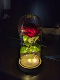 Троянда в колбі з підсвічуванням червона троянда під куполом з LED підсвічуванням вічна троянда на пластиковій підставці фото від покупців 16