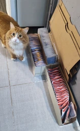 Влажный корм для кошек Purina Cat Chow Adult кусочки в желе с говядиной и баклажанами (26х85г)