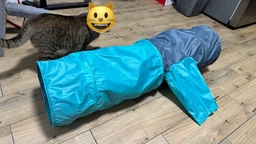 Trixie Тунель тканинний для котів,в асортименті фото от покупателей 1