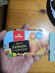 Филе лосося Banga в соусе терияки 120 г (4751017404270)