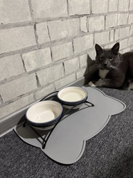 Подставка с мисками из керамики для кошек Trixie Eat on Feet 250 мл (4047974247907)