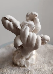 Мицелий Вешенки королевской, Pleurotus eryngii 100 г