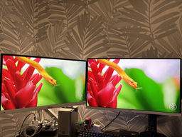 Монитор 27" MSI MAG 274QRFW -- Rapid IPS / 2K QHD / 180 Hz / 1ms / DisplayHDR 400 / 8-Bit + FRC / Adaptive-Sync / G-Sync Compatible / AMD FreeSync фото от покупателей 1