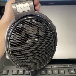 Наушники Sennheiser HD 650 (508825)