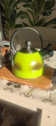 Чайник зі свистком 1,5 л Holmer Cloud WK-6315-BCSG Cloud