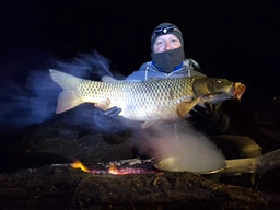 Вудилище коропове Lineaeffe XTR Carp 3.6 м 2.75 lbs (2724036)