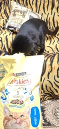 Сухий корм Friskies для дорослих кішок з лососем та овочами 300 (г) фото від покупців 11