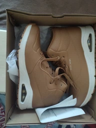 Жіночі черевики Skechers 39 Чорний 177097 BBK
