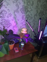 Фітолампа для домашніх рослин світлодіодна з таймером гнучка LED Supretto 30вт на 3 світильники