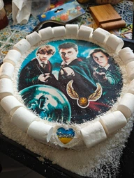 Сахарна їстівна картинка Гаррі Поттер Ø19см для дітей, підлітків на торт (SNP - 00943)