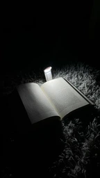 Лампа для чтения книг LightPage с прищепкой, компактная (5788844)
