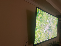 Телевізор Philips MiniLED 55PML8709/12 фото від покупців 2