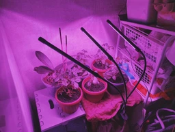 Фітолампа для домашніх рослин світлодіодна з таймером гнучка LED Supretto 30вт на 3 світильники