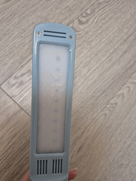 Комплект мебели Evo-Kids BD-24 стол + стул + полка + лампа Blue (BD-24 BL)